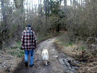 A man and his dog